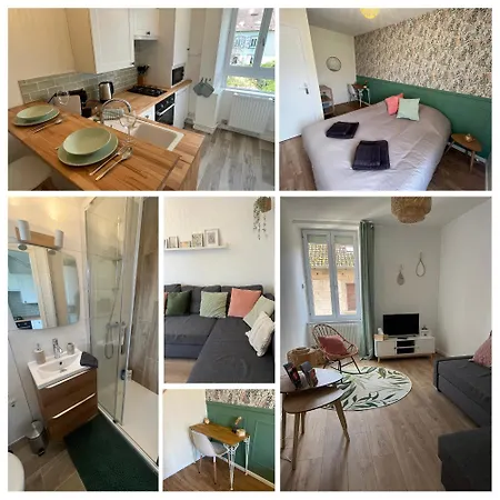 Apartment *la Belle Saison* Lumineux, Espace De Travail, Wifi, Belfort